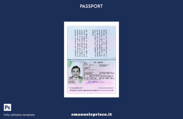 modello di versione del passaporto irlandese in stile verificato